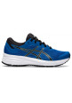 ASICS patriot 12 gs